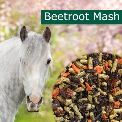 HorsePro Beet Root Mash 10 kg