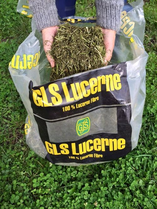 GLS Lucerne m. olie 18 kg