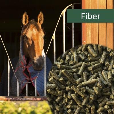 HorsePro Fibre 20 kg